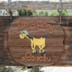 BonyPony Sign